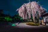 高台寺