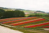 四季彩の丘