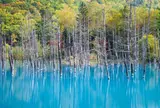 青い池