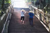 琴平山