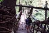 祖谷のかずら橋