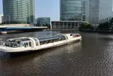 シーバス