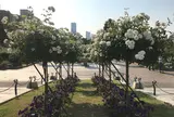 山下公園