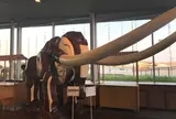 象の鼻パーク