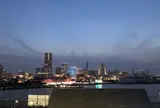 横浜港大さん橋国際客船ターミナル（大さん橋）