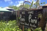 Pani Pani