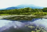 妙高高原（いもり池）