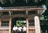 題経寺（柴又帝釈天）