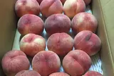 （有）サンセイフルーツランド