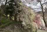 烏帽子山公園