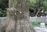 伊弉諾神宮