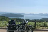 美幌峠展望台