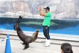 仙台うみの杜水族館