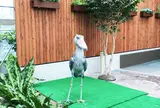 掛川花鳥園