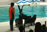 おたる水族館