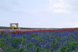 かんのファーム