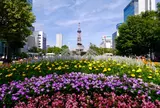 大通公園