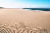 浜岡砂丘