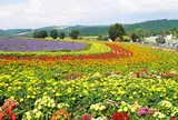 ぜるぶの丘