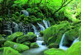 元滝伏流水