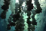 仙台うみの杜水族館