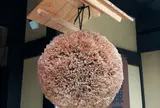 飛騨地酒蔵 本店