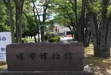 堺市博物館