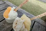 La Fonte
