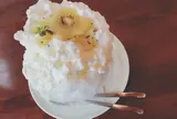 レモンの木