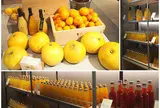 10ファクトリー 道後店