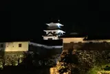 今治城