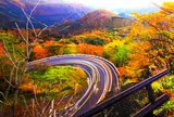 いろは坂