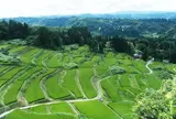 星峠の棚田