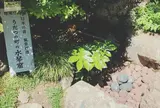 旧今井家住宅・美濃史料館