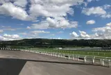 チェルトナム・レースコース
