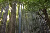 報国寺（竹寺）