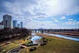 二子玉川 多摩川の河川敷