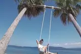 ヤシの木ブランコ