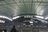 札幌ドーム