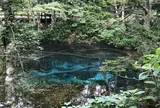 神の子池