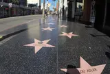 ハリウッド・ウォーク・オブ・フェーム