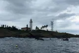 野島埼灯台