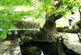 けやき水源