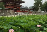 伊賀八幡宮