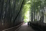 竹林の小径