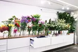 DILIGENCE PARLOUR