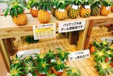 島の駅みやこ