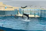 新江ノ島水族館