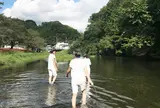 散策