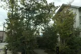 林のカフェ Hayashi Cafe